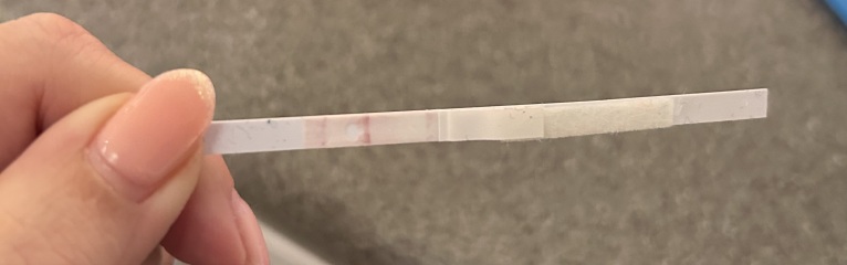 Has anyone had this and been pregnant ?