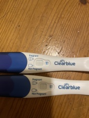 Clear blue test. Evap line or positive