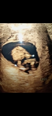 Wanted the help to find our baby gender
