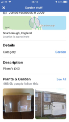 In the vein of "Chester draws"