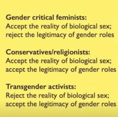 Trump's plans for day one: ending child sexual mutilation and having just male and female genders