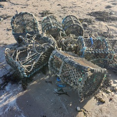 Mounjuro August starters - thread 11