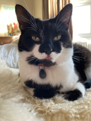 Thread 16 - TalkLair: "Well, I'm not exactly quaking in my stylish-yet-affordable boots, but there's definitely something unnatural going on here."