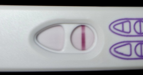 2DPO