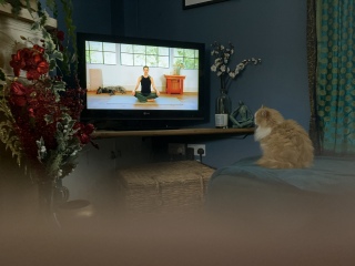 Thread 14 Starmer - The Starmeristas Strike Back