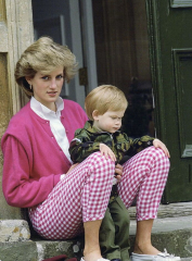 To think Princess Di was killed