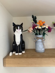 To show me your Lego collection?