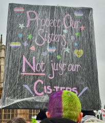 Thread 2 the one where a convicted criminal kicks off and throws all his toys  out of the pram