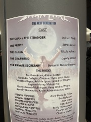 Going to my first ever ballet…please help.