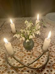 Thread 17: Starmer: Treading softly.