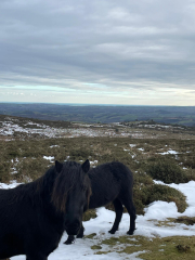 Mounjuro August starters - thread 10 !!!!