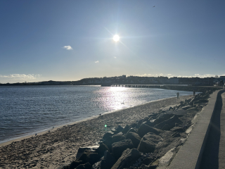 The Nigel Slater Christmas Chronicles Readalong 2024 Part 3