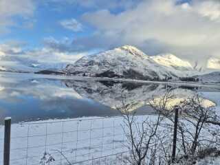 Mounjuro August starters - thread 10 !!!!