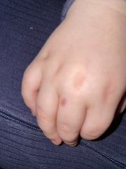 anyone know what this is?