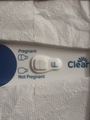 Test look likes an evap but not sure