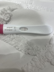 2ww currently 2dpo