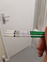 Positive test and negative test?