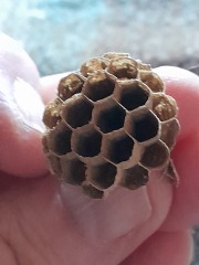 Any Witches here? Part 20