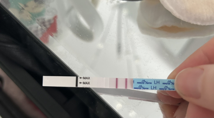 February TTC Support Group