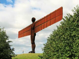 The Bluestocking: the one where AI finally learns what a blackbird is (we hope)