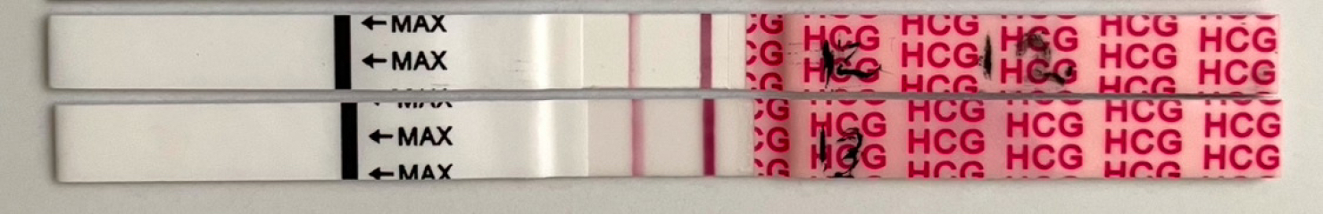 HELP…. Could this be chemical …. Again!!!