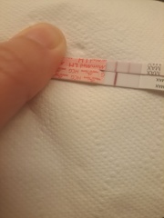 January TTC Support Group 💚