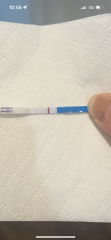 Do you see it? 12dpo