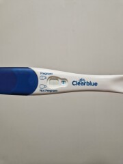 Positive test and negative test?