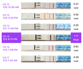 Help me work out when I ovulated!