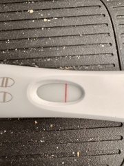 Unknown dpo, evap line?