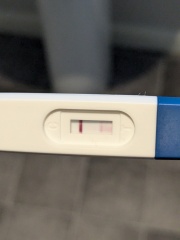 Positive test result yesterday afternoon, negative this morning- can oversaturation cause false negative?