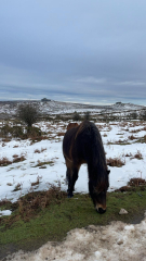 Mounjuro August starters - thread 10 !!!!