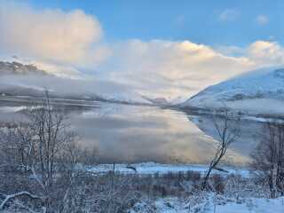 Mounjuro August starters - thread 10 !!!!