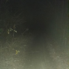 The happy Place Café is still open as is @Tillly's dog wash.