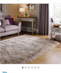 Which colour rug