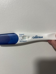 Clear blue line progression?