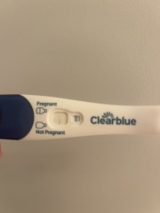 What do you think? Line eyes?