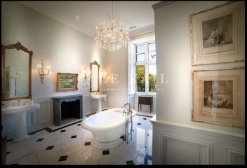 The Bluestocking: the one where AI finally learns what a blackbird is (we hope)