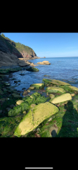 Is there any ethical way to go on holiday to Cornwall WRT the housing crisis?
