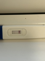 3dpo