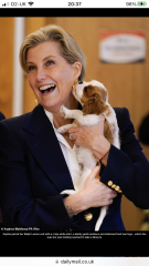 Royal Style: Take the Tiaras out of The Vault! Sparkles aren't just for Christmas!