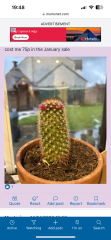 How do I remove sinister Santa outfit from a cactus?