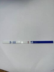 January TTC Support Group 💚