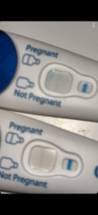 Evap line or faint positive?