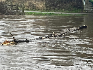 New Year, new weather thread