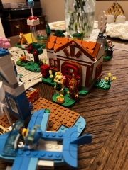 To show me your Lego collection?