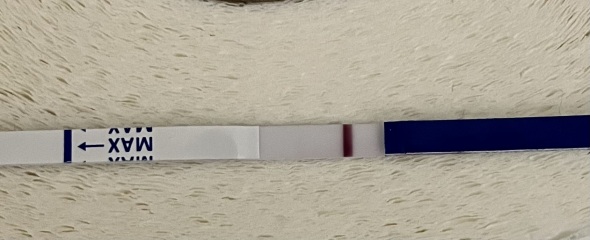 BFP baby 3?