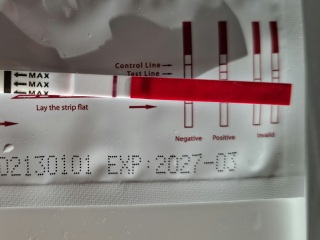 Friendly/supportive/sensitive thread 🌱