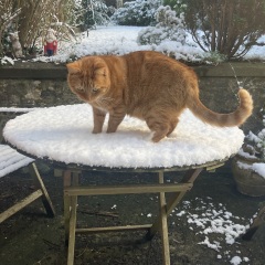 Has anyone got snow yet?