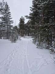 The Nigel Slater Christmas Chronicles Readalong 2024 Part 3